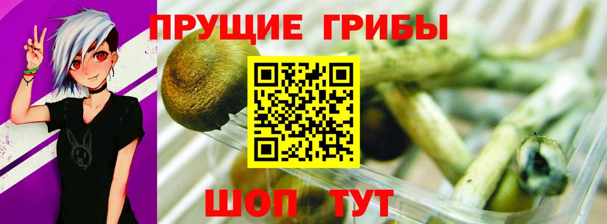 Коркино  Псилоцибиновые грибы Cubensis  наркотики  Вход с VPN  Псилоцибиновые грибы ЛСД 